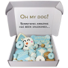 Winter Themed Dog Treats Gift Box