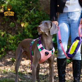 Pet chest sling Explosion-proof punch dog sling Dog leash dog rope pet supplies (Select: AN6-purple-L)