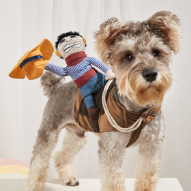 Cowboy Rider Pet Costume, Funny Dog Costume For Small Medium Dogs & Cats, Pet Clothes (Color: Mixed Color, size: s)