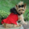 Red Wool Classic Dog Coat Harness and Fur Collar with Matching Leash